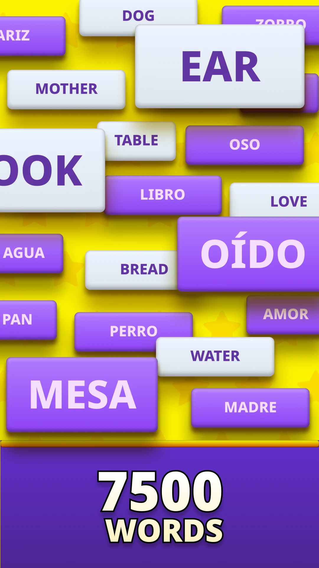 MomoLingo: English and more screenshot