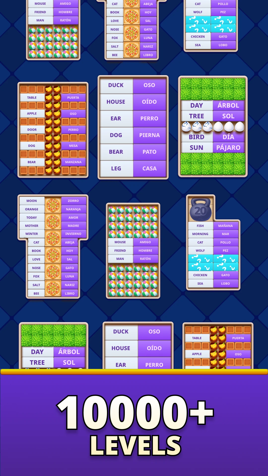 MomoLingo: English and more screenshot